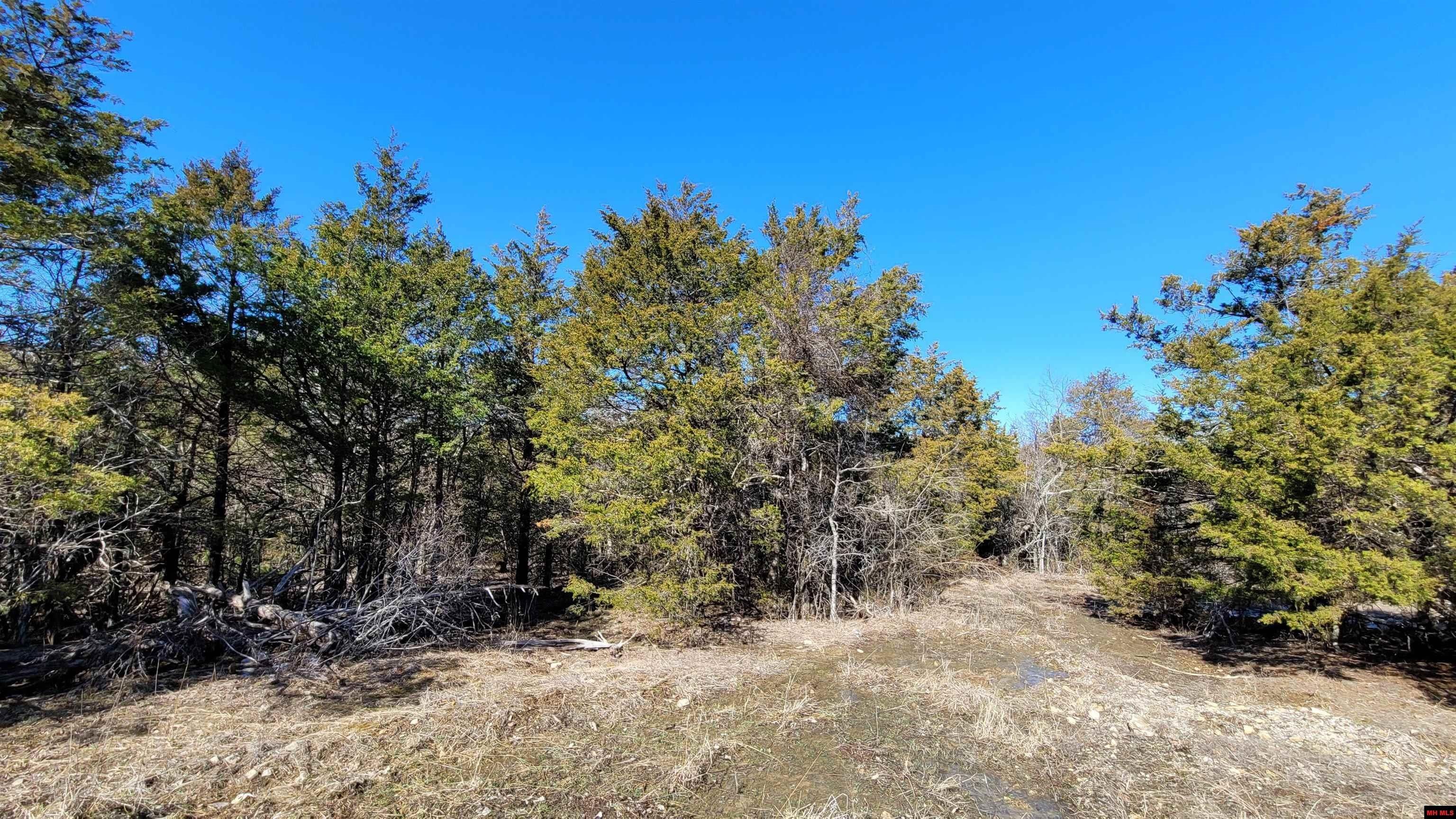 21 acres in Marion County, Arkansas