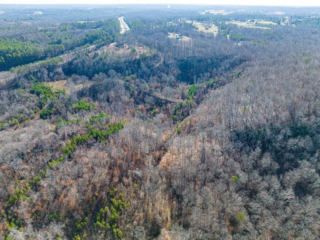 90 acres in Cullman County, Alabama