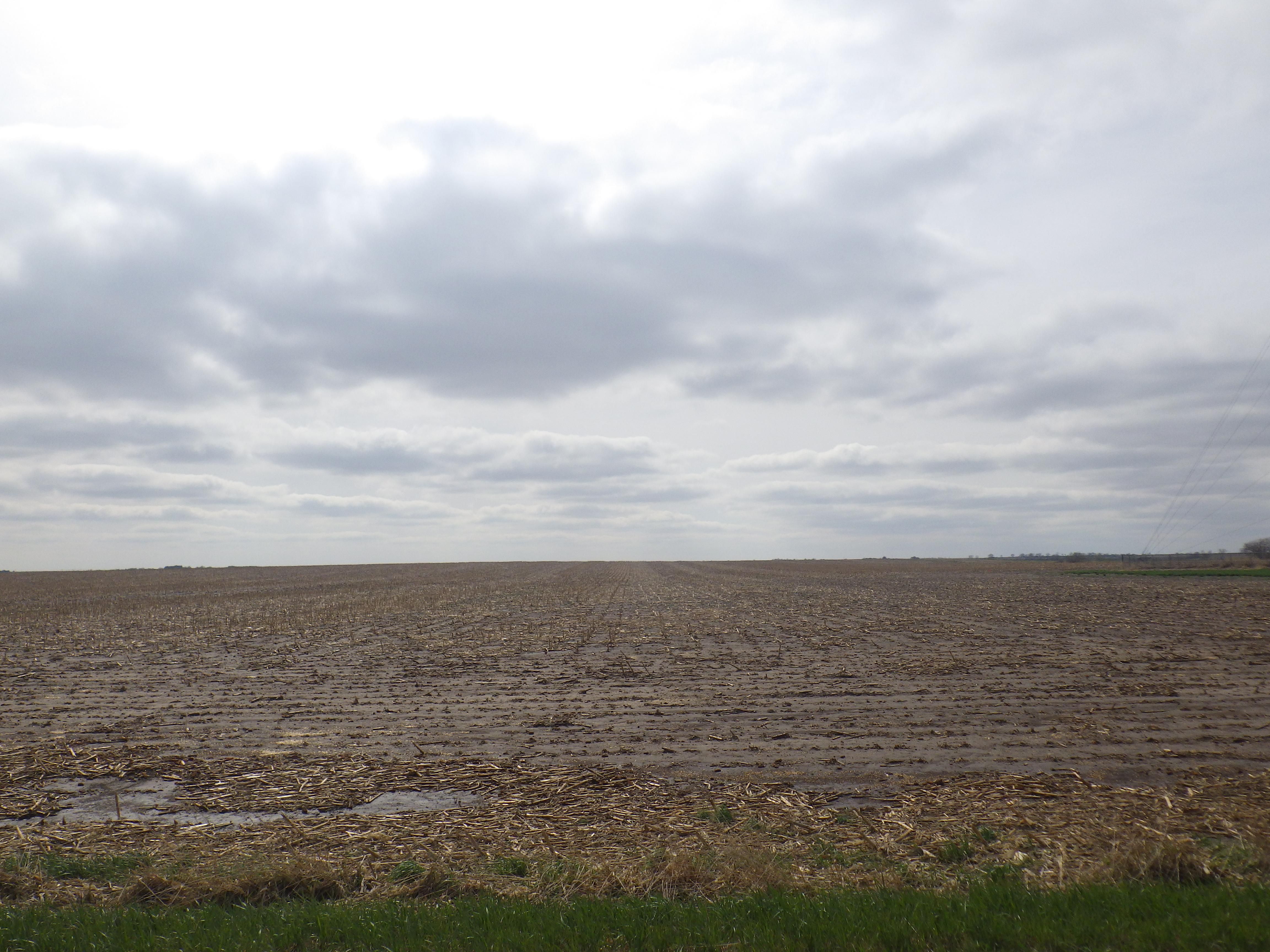 80.7 acres in Franklin County, Nebraska