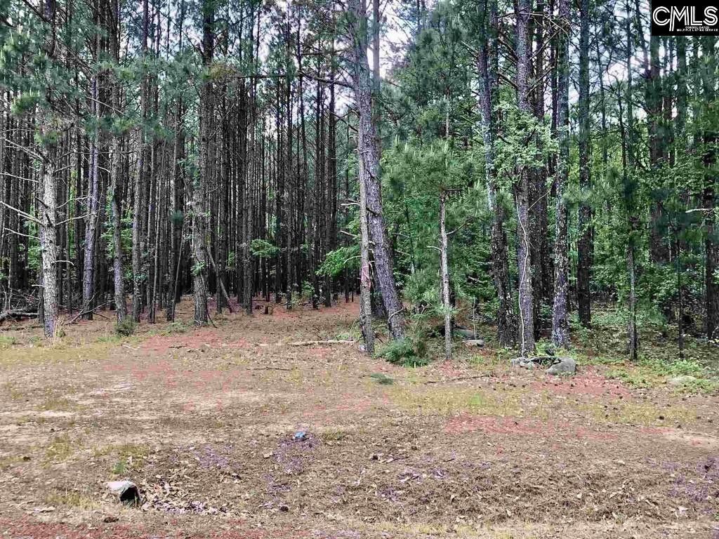 2 acres in Richland County, South Carolina