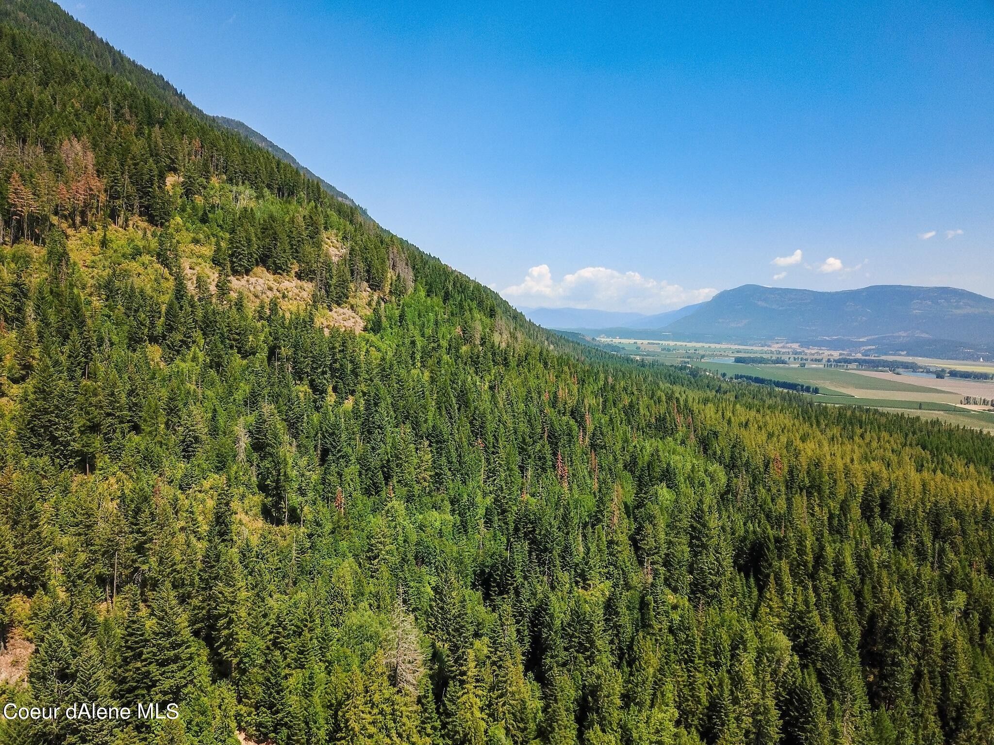 80 acres in Boundary County, Idaho