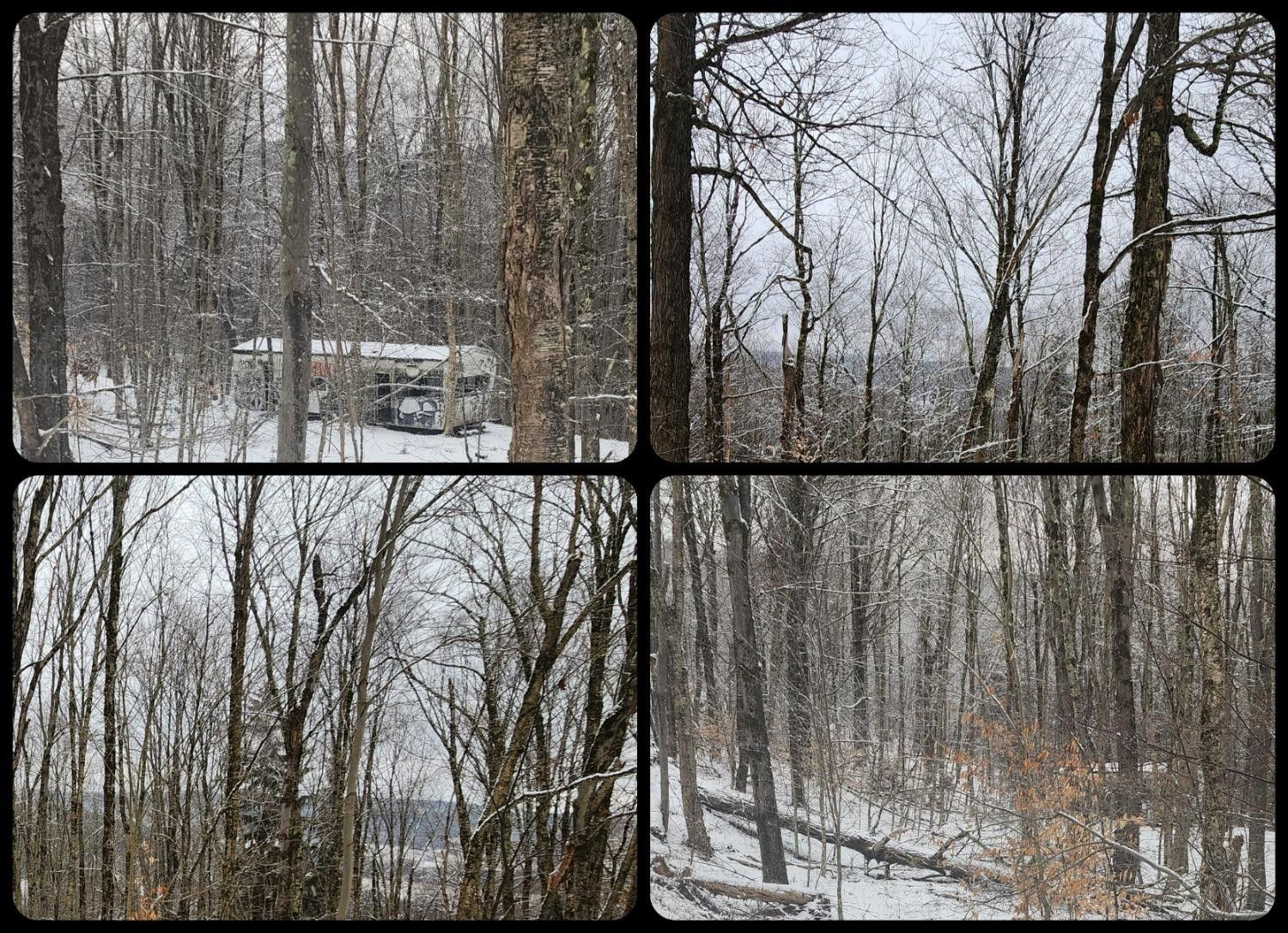 4 acres in Delaware County, New York