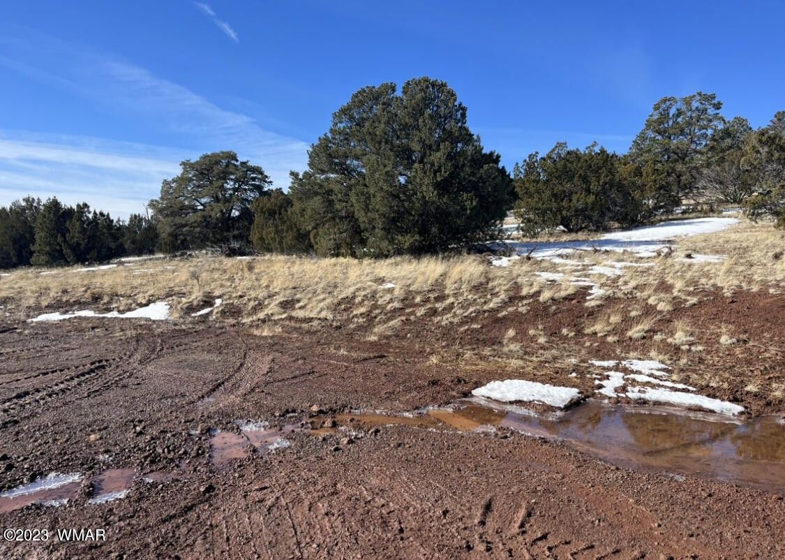 40 acres in Apache County, Arizona