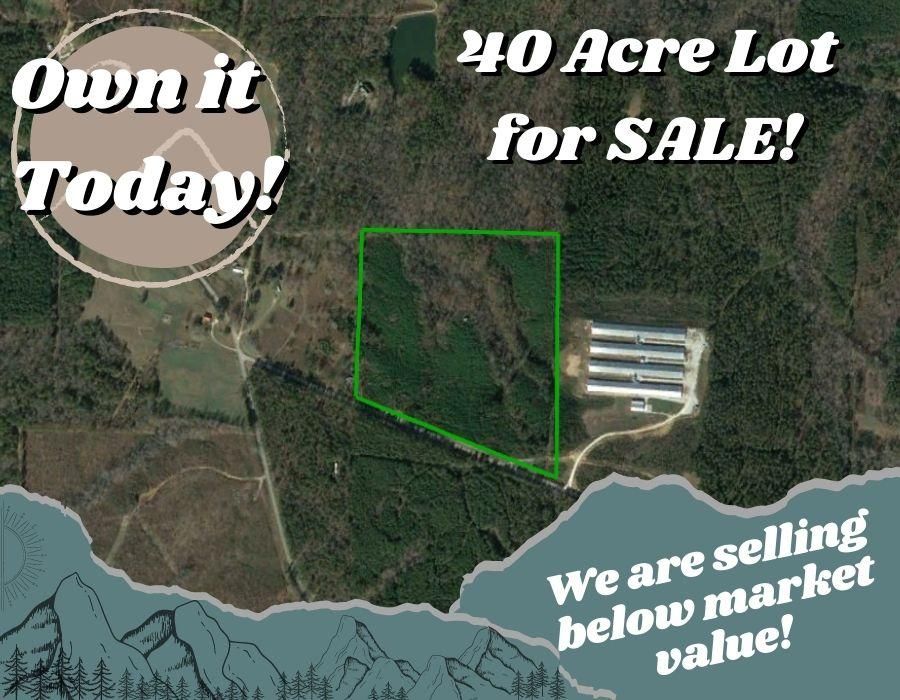 40 acres in Cleburne County, Alabama