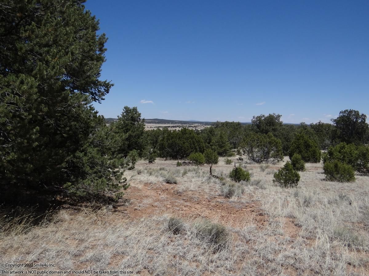 11 acres in Catron County, New Mexico