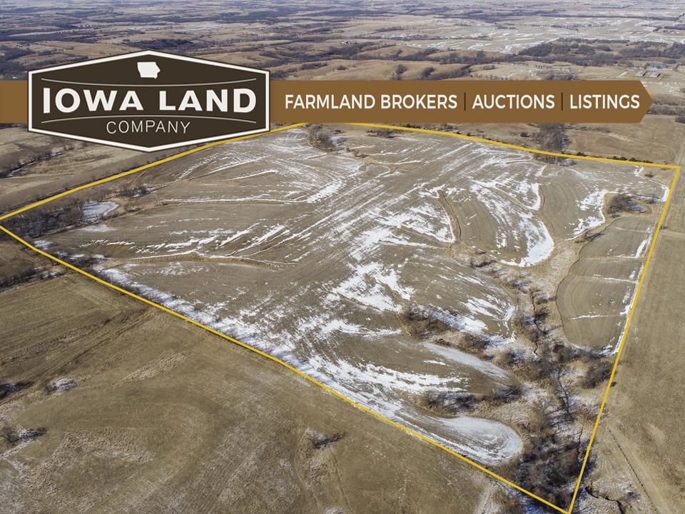 156 acres in Wayne County, Iowa