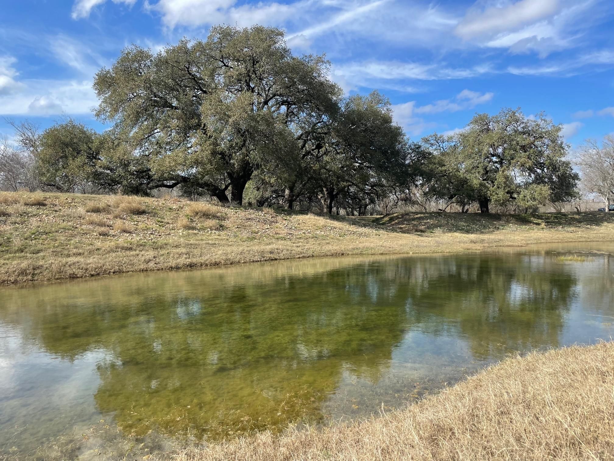 15 acres in Frio County, Texas