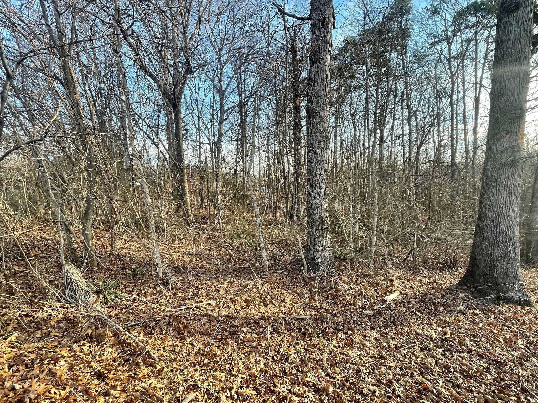 0.65 acres in Surry County, North Carolina