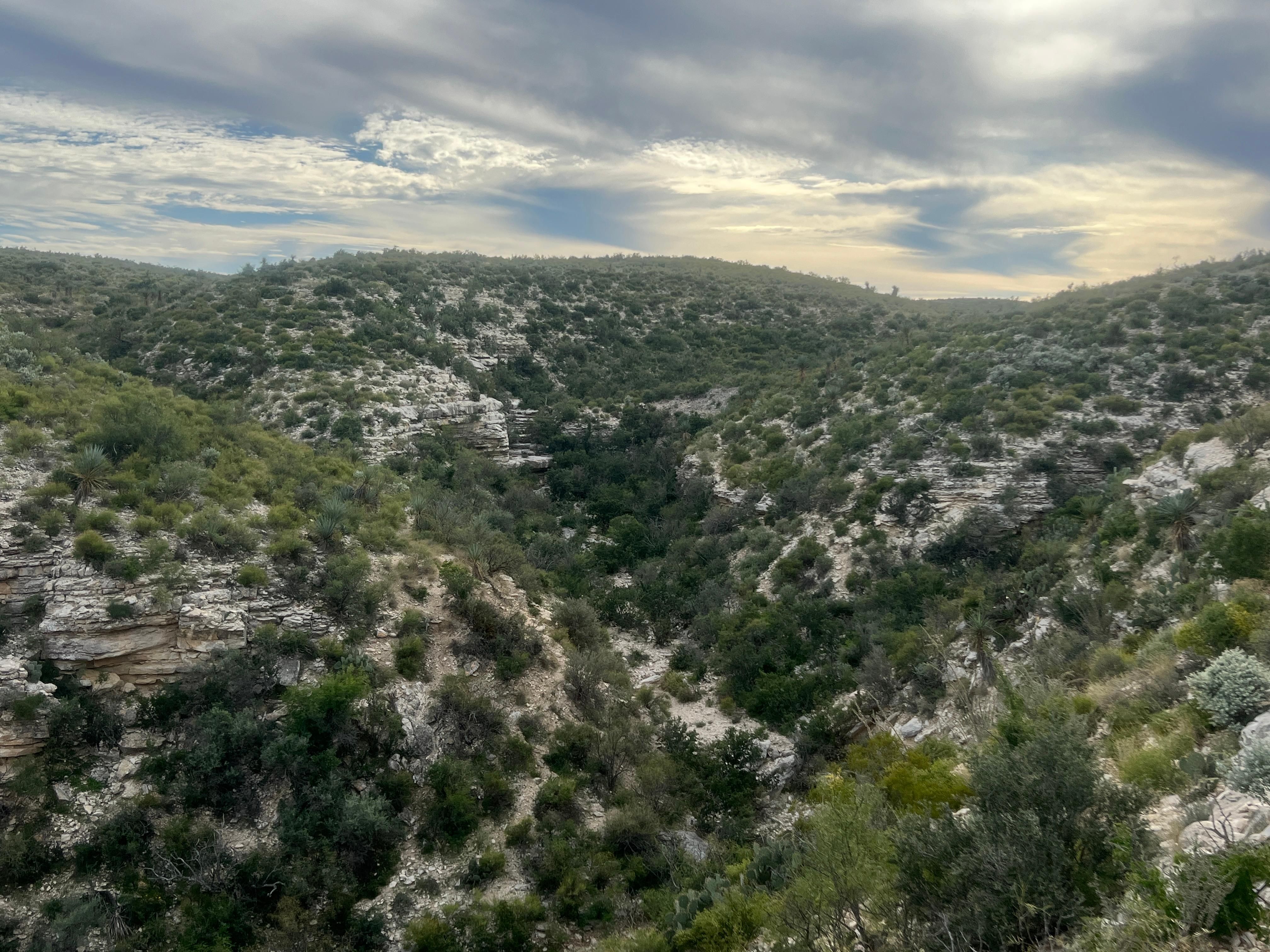 164 acres in Terrell County, Texas