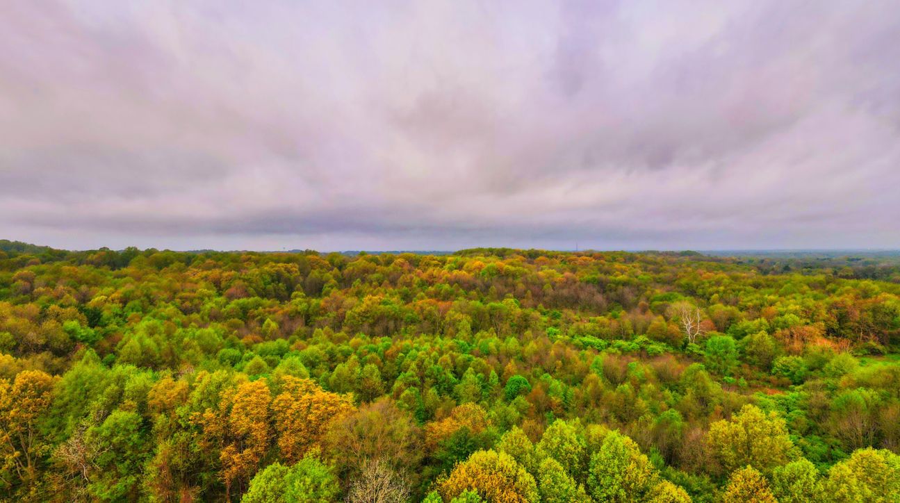 Mercer West Middlesex Road PA899, West Middlesex, PA 16159