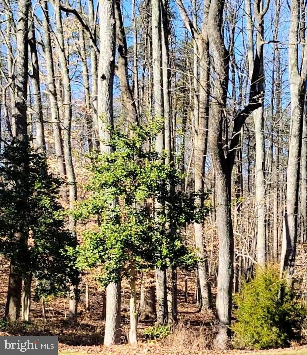 2 acres in Calvert County, Maryland