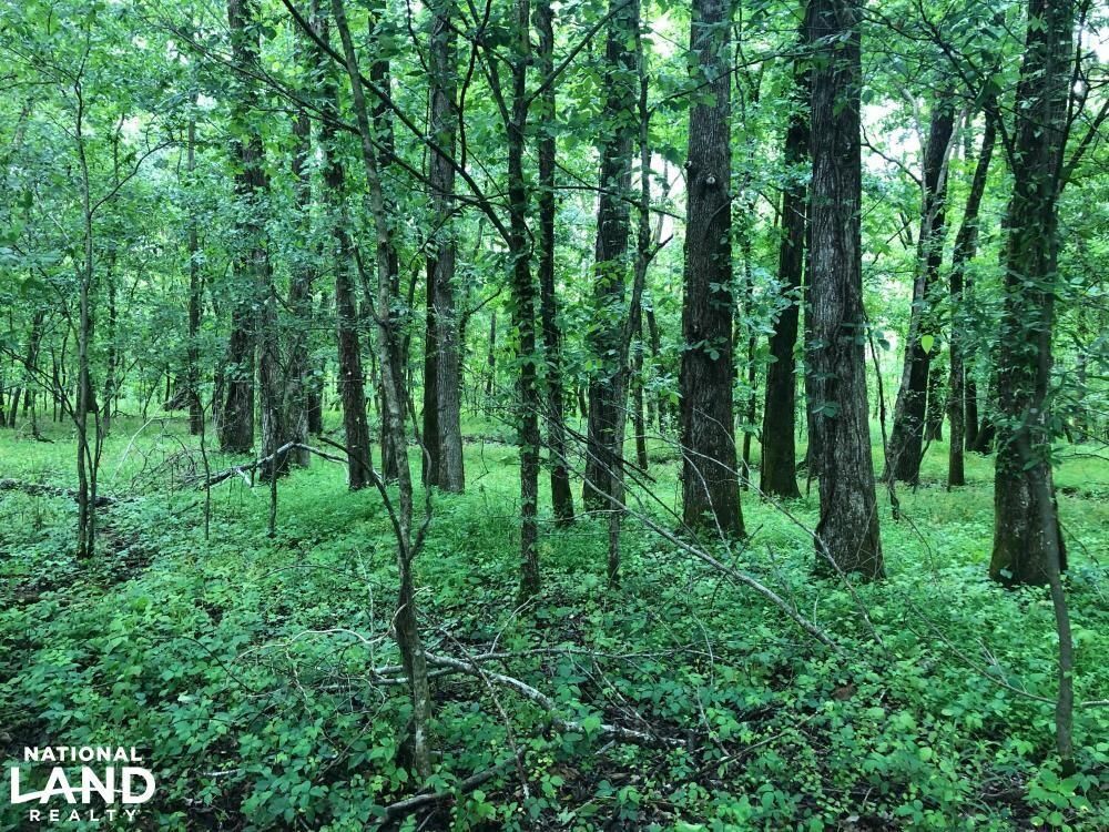 42 acres in Tate County, Mississippi