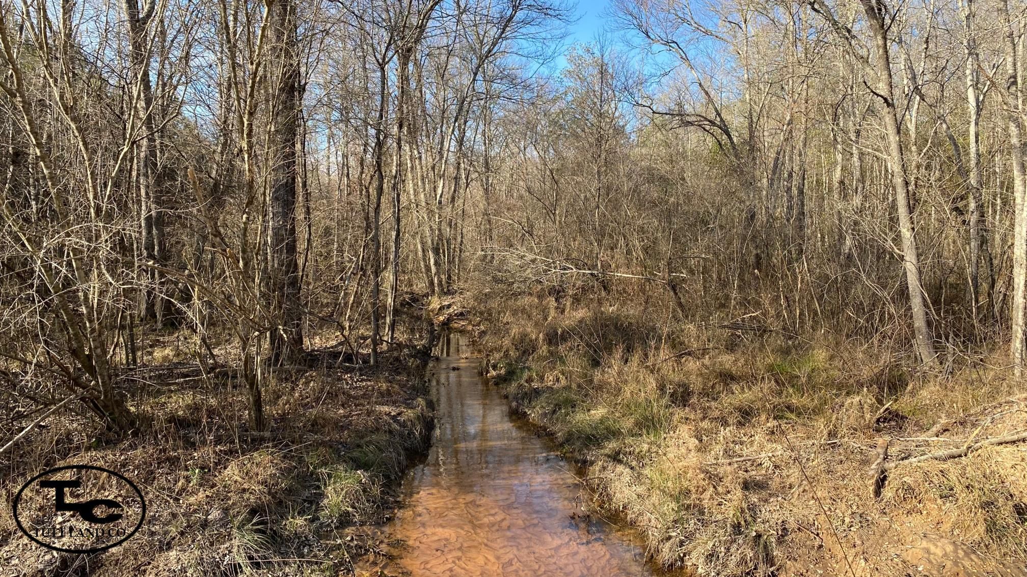 40 acres in Lamar County, Alabama