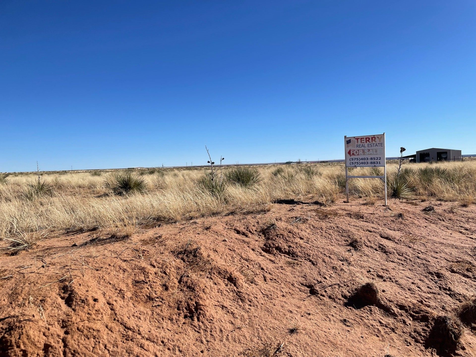 20 acres in Quay County, New Mexico