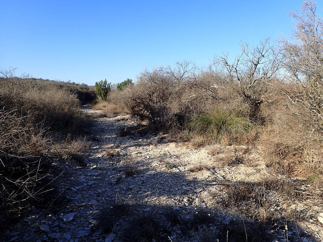 500 acres in Dryden, TX, 78851