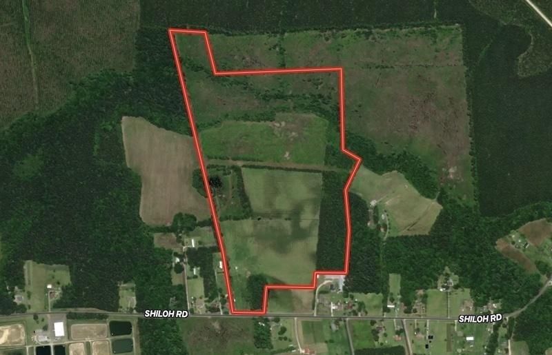 75 acres in Pender County, North Carolina
