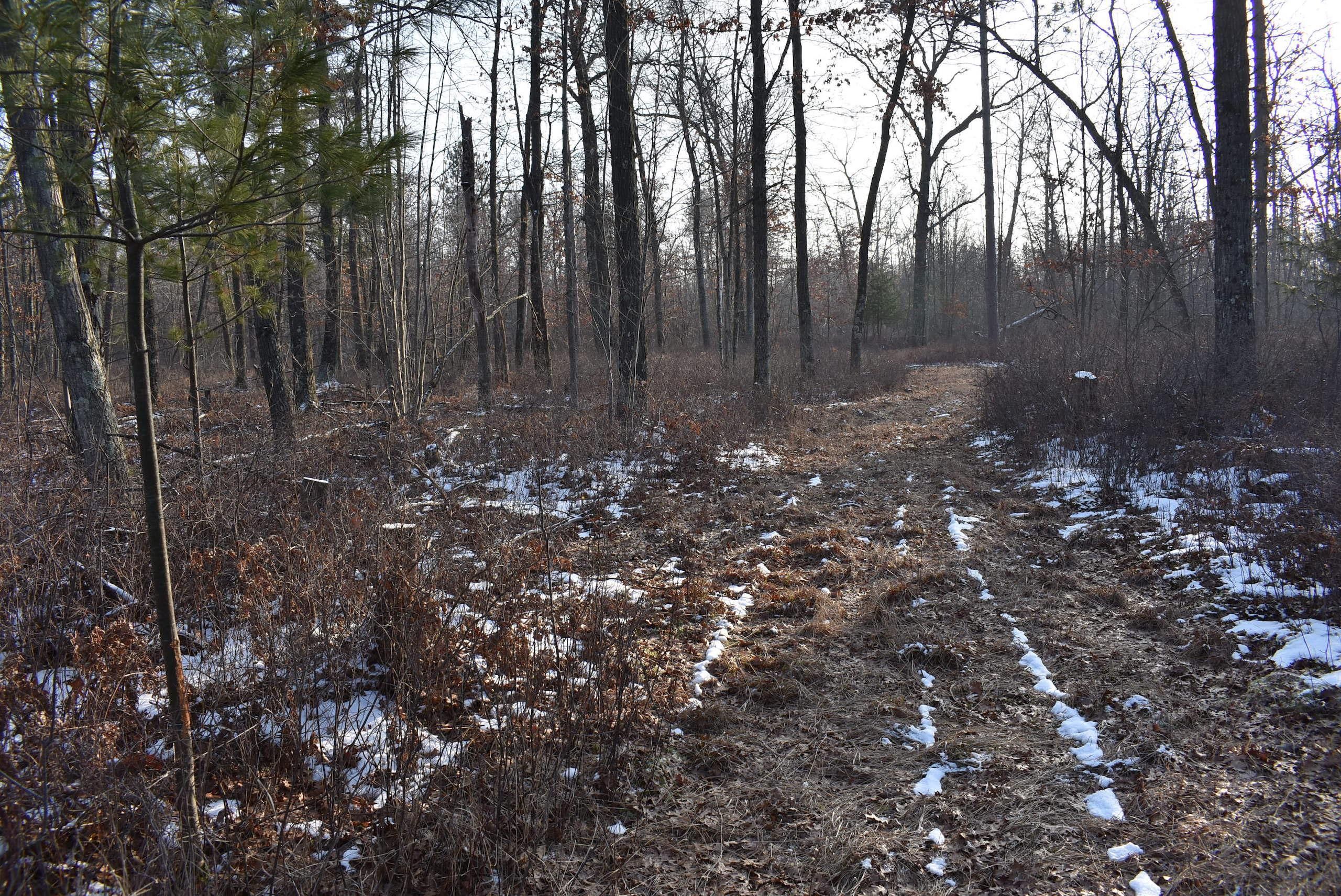 Frog Pond Road, Oconto, WI 54153