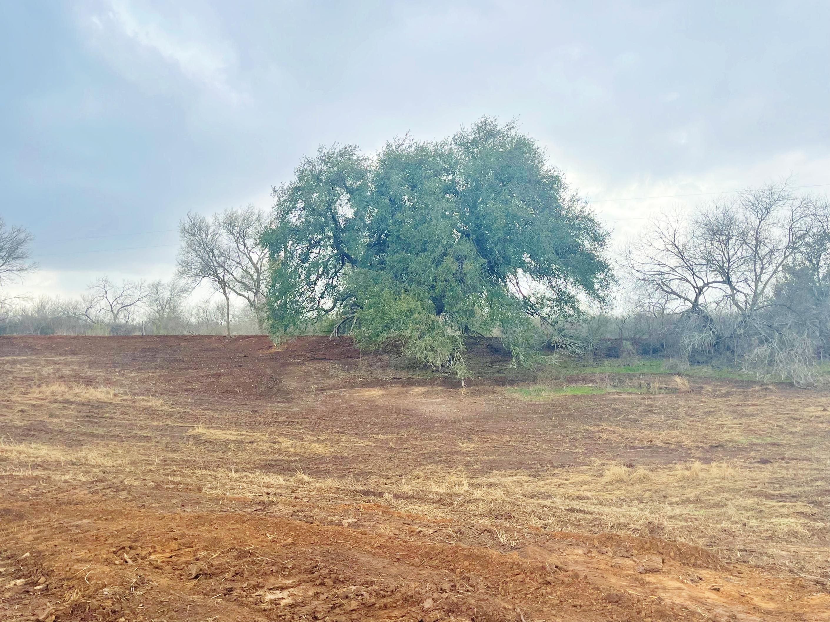 30 acres in Atascosa County, Texas