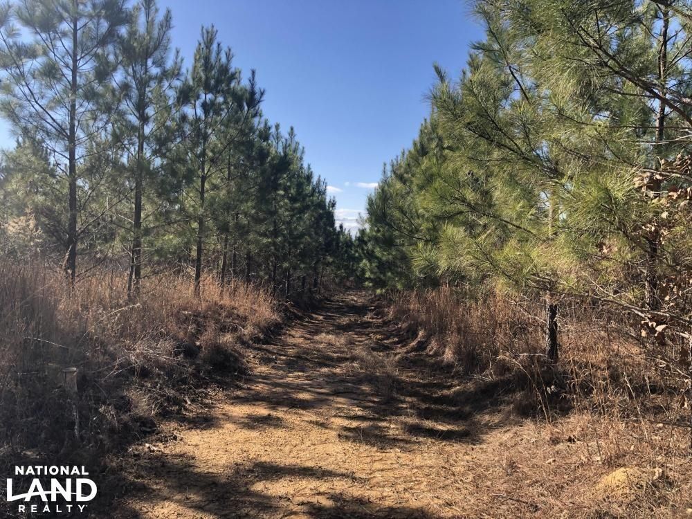 191 acres in McNairy County, Tennessee