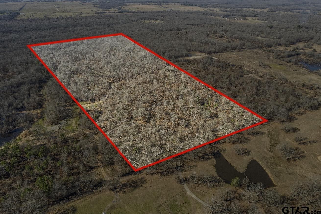 60 acres in Titus County, Texas