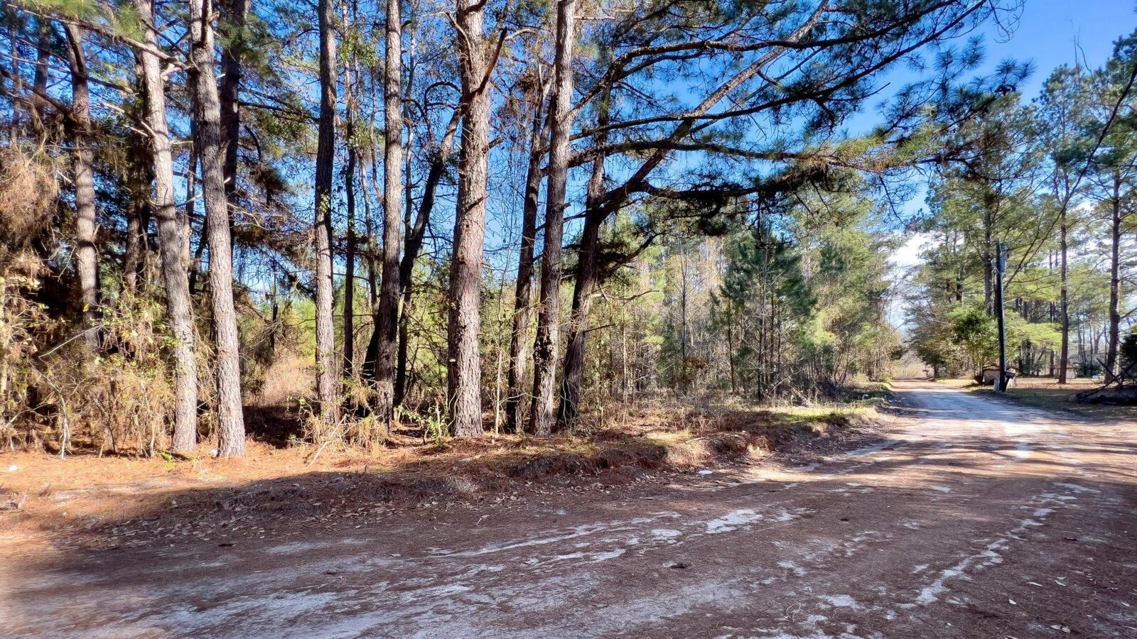 1 acres in Clarendon County, South Carolina