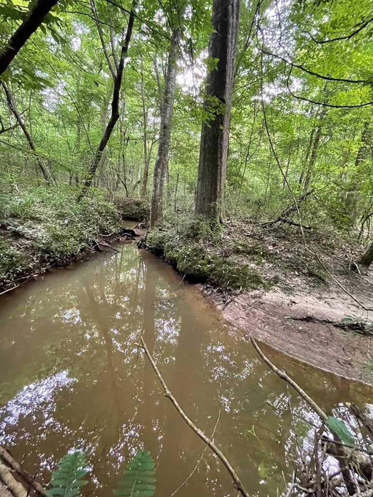 124 acres in Copiah County, Mississippi