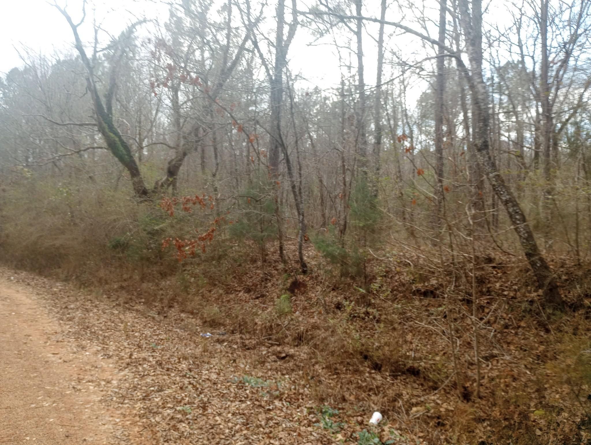 30.09 acres in Meriwether County,