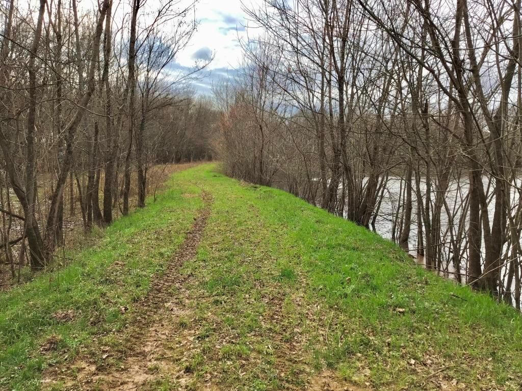 106 acres in Calhoun County, South Carolina