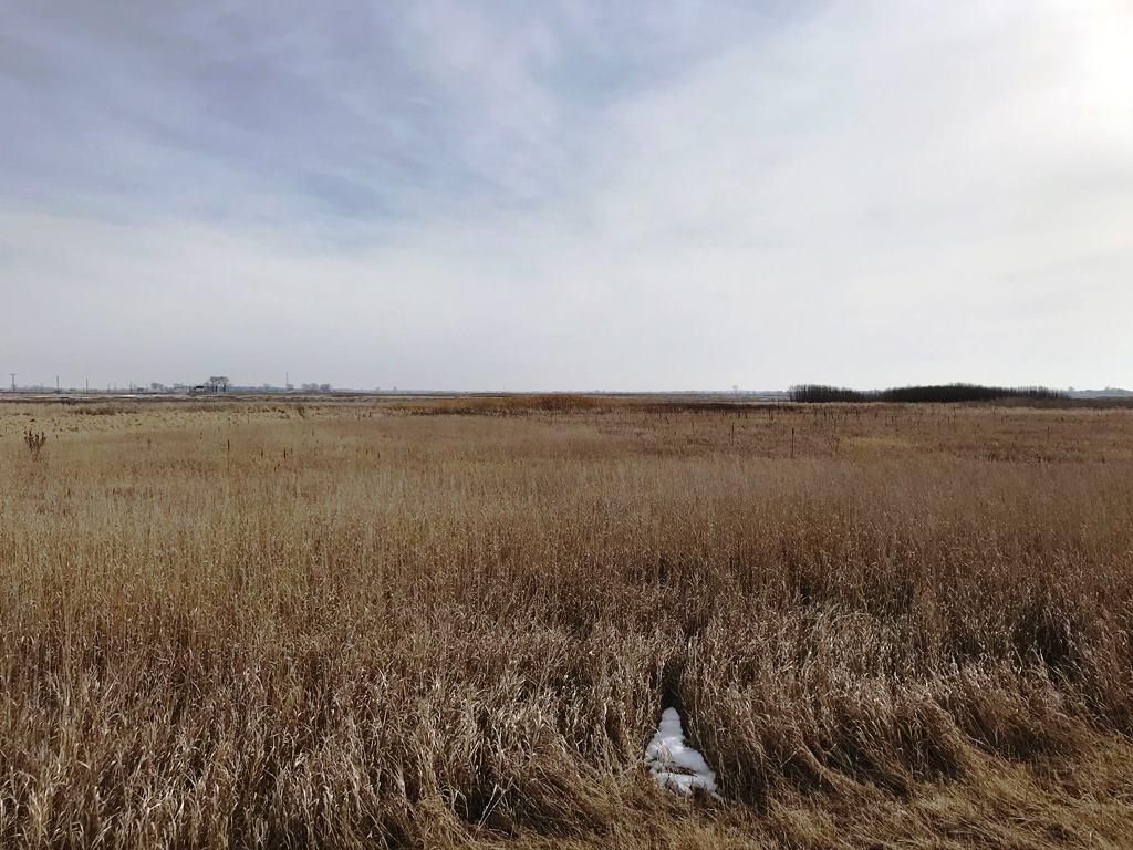 203.5 acres in Whiteside County, Illinois