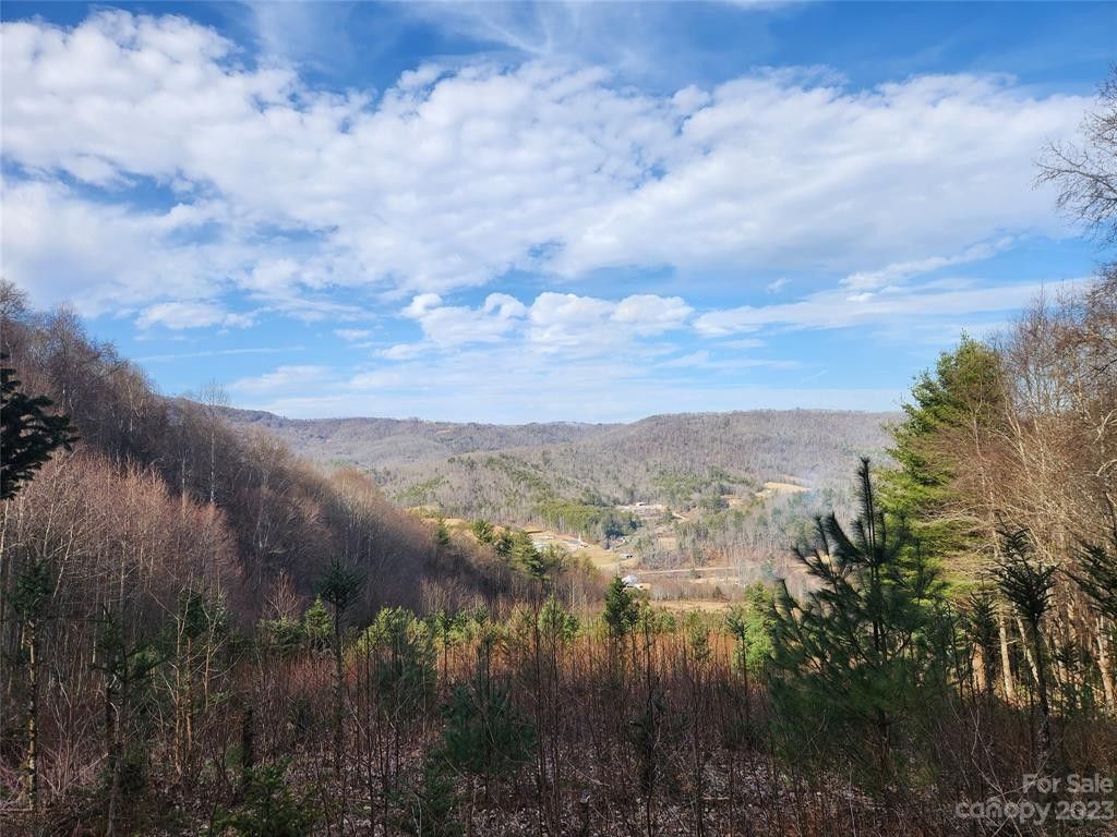 49.61 acres in Avery County, North Carolina