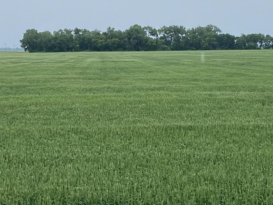 475 acres in Pembina County, North Dakota