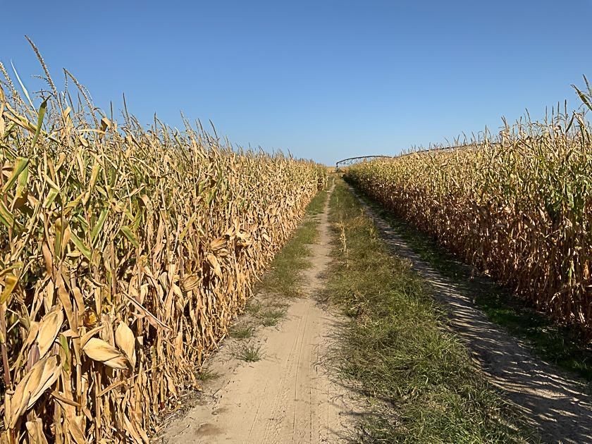 640 acres in Rock County, Nebraska