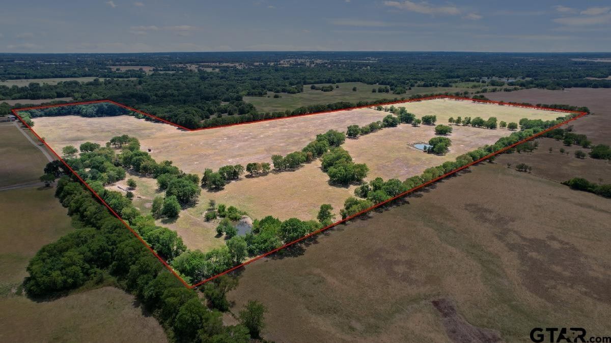 80 acres in Franklin County, Texas
