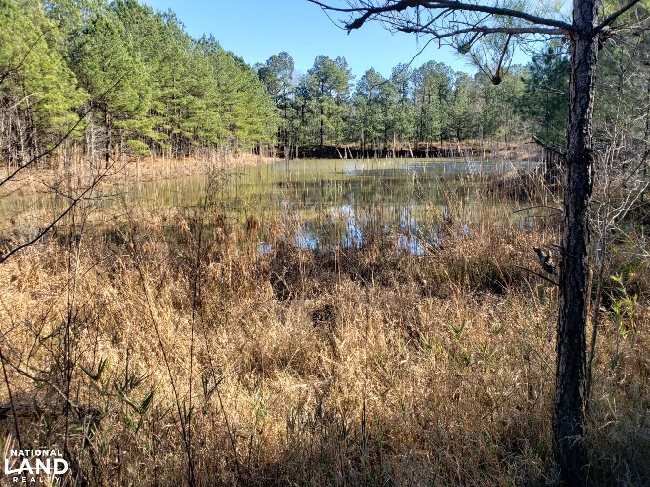 000 Gerald Tew Road, Louisville, AL 36048