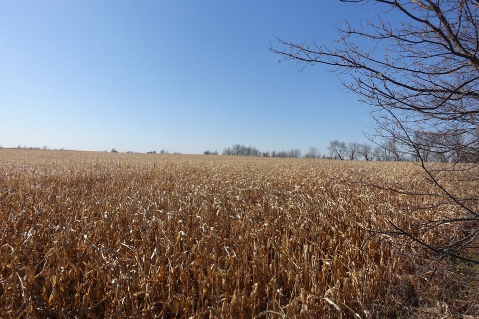 39 acres in Chickasaw County, Iowa