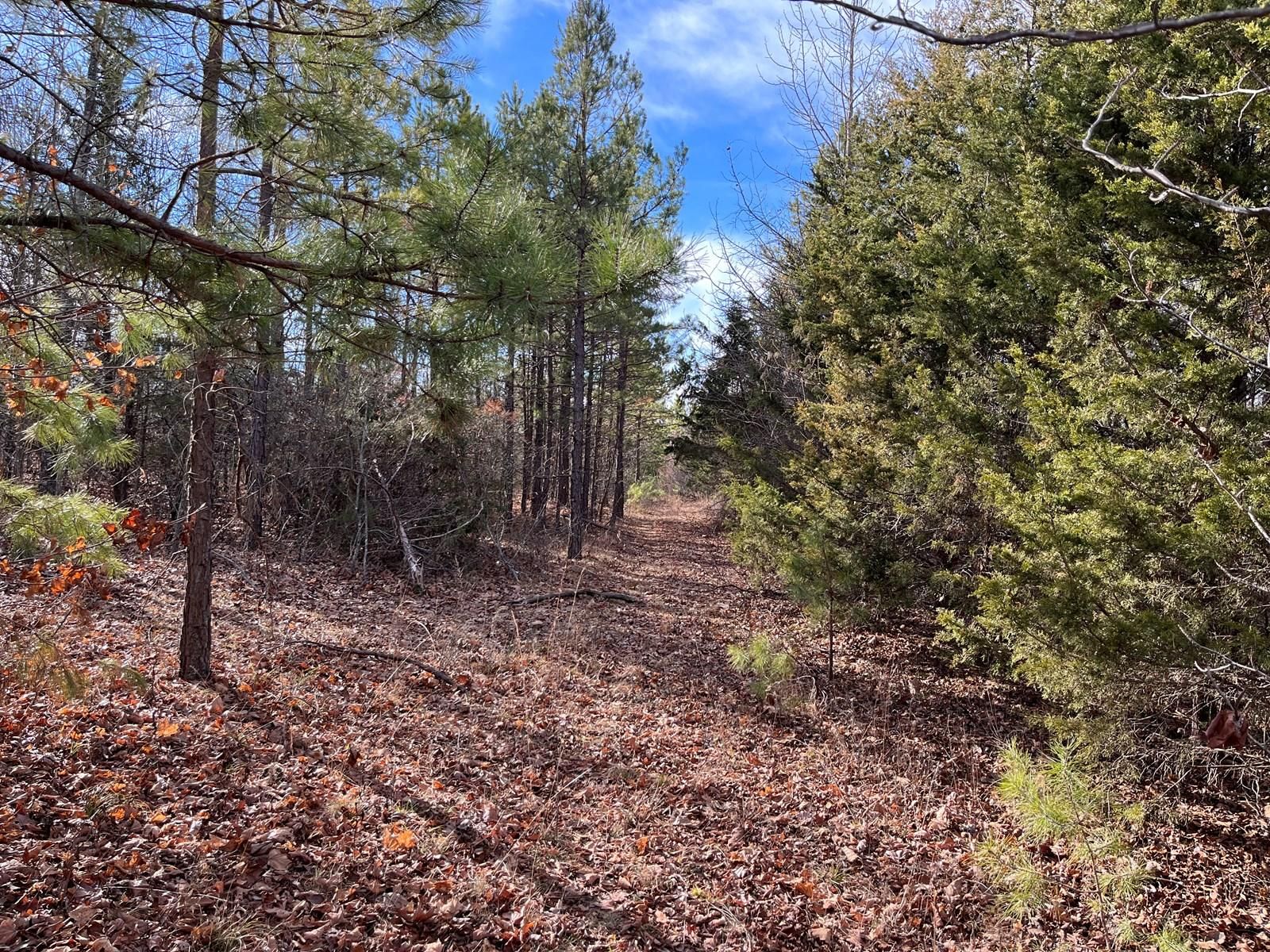 00 Gunner Dr, Leslie, AR 72645 MLS 23003749