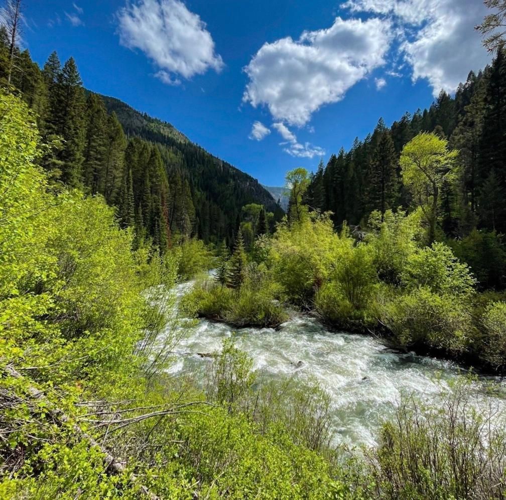 20 acres in Jackson County, Colorado