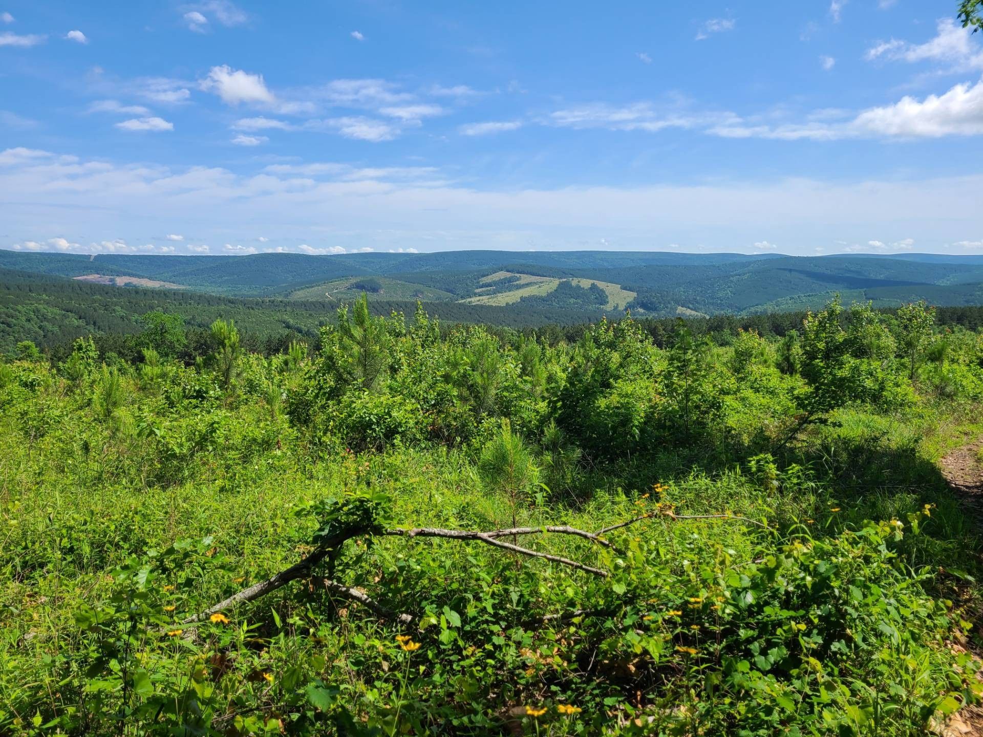 20 acres in Le Flore County, Oklahoma