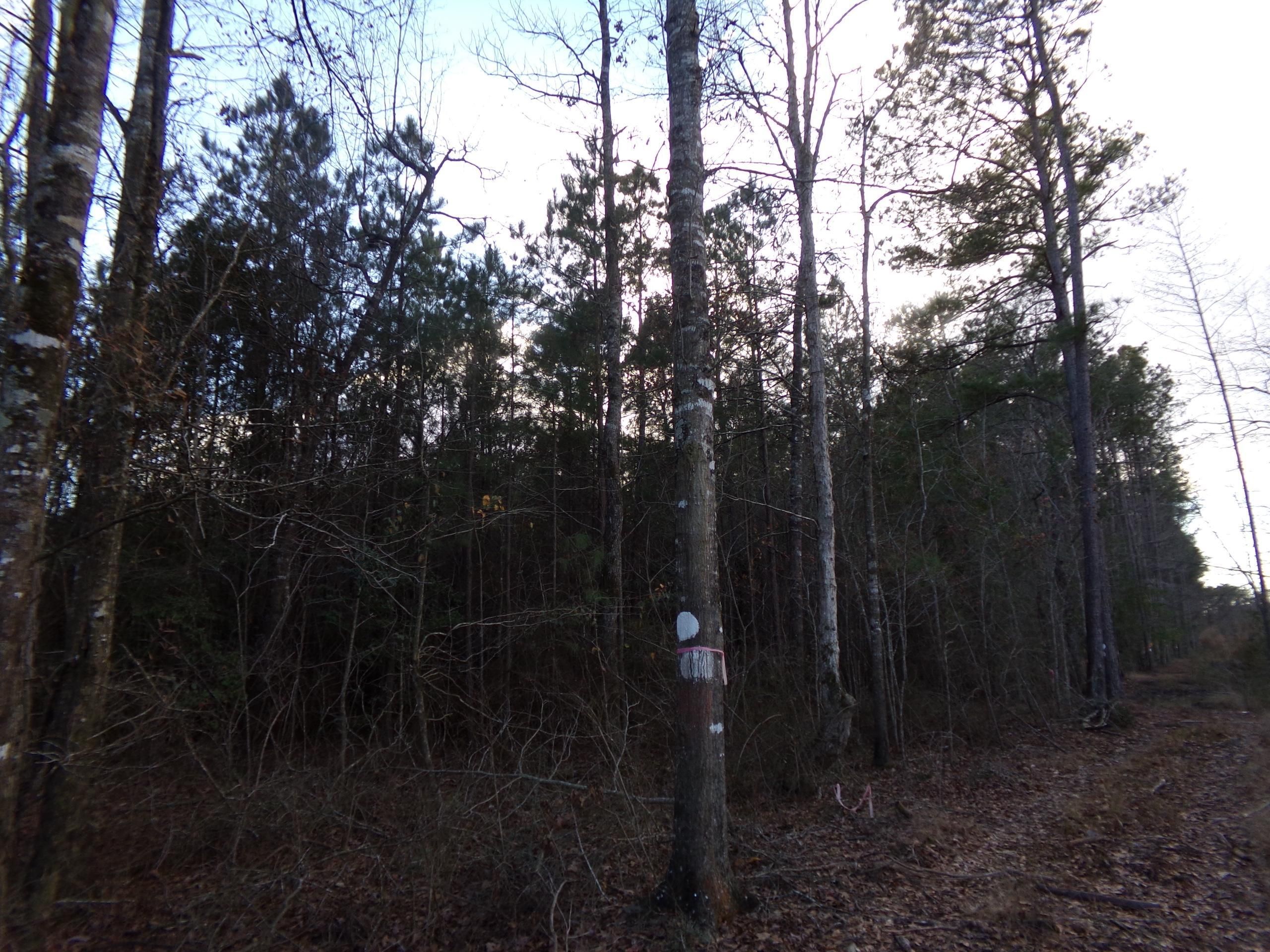 21.24 acres in Natchitoches Parish, Louisiana