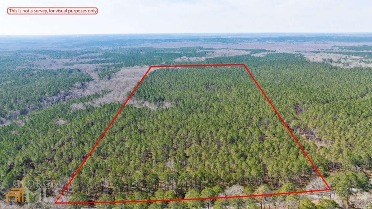 50 acres in Greene County,