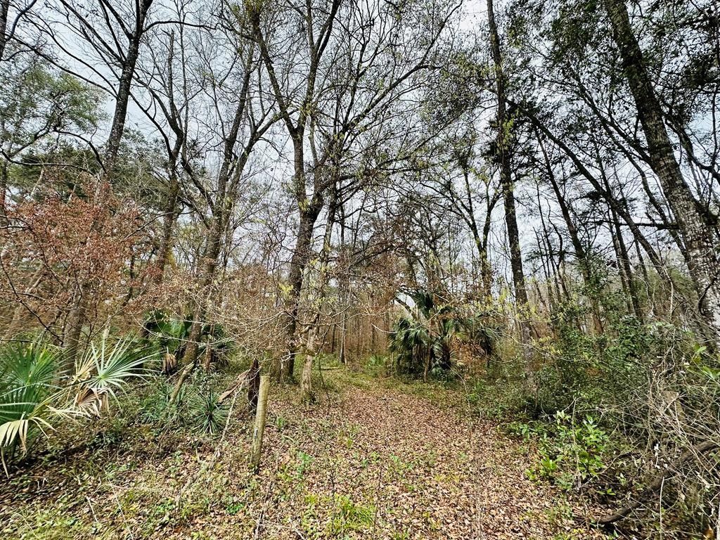 5 acres in Dixie County, Florida