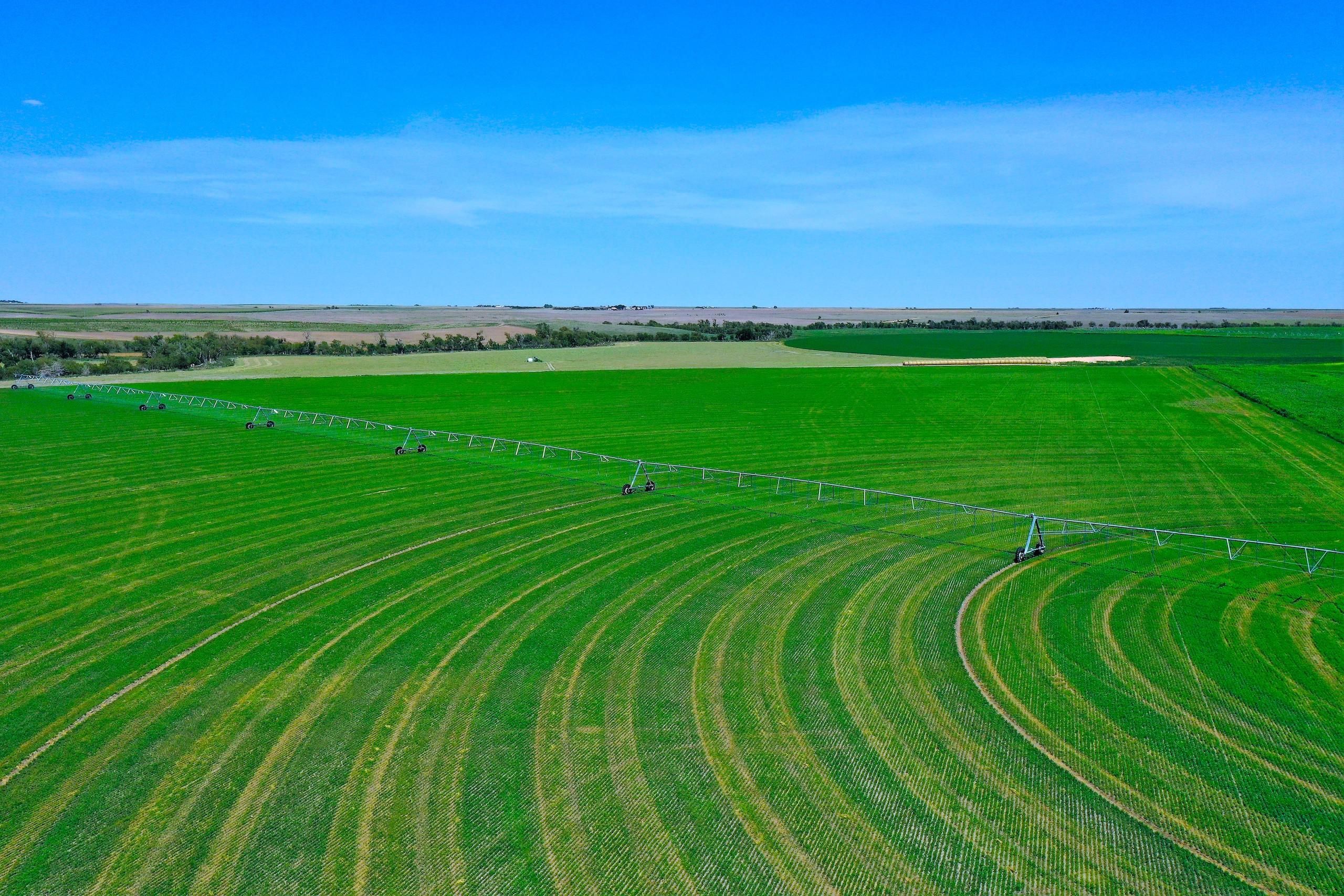 County Road 370, Selden, KS 67757