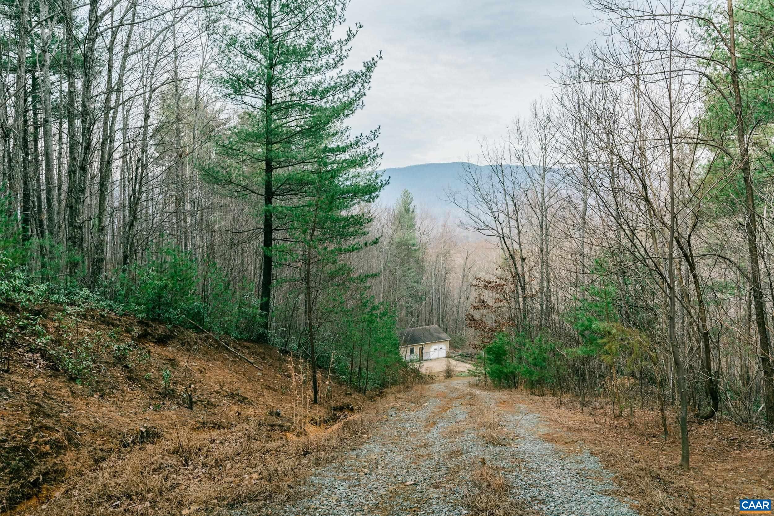 13 acres in Albemarle County, Virginia