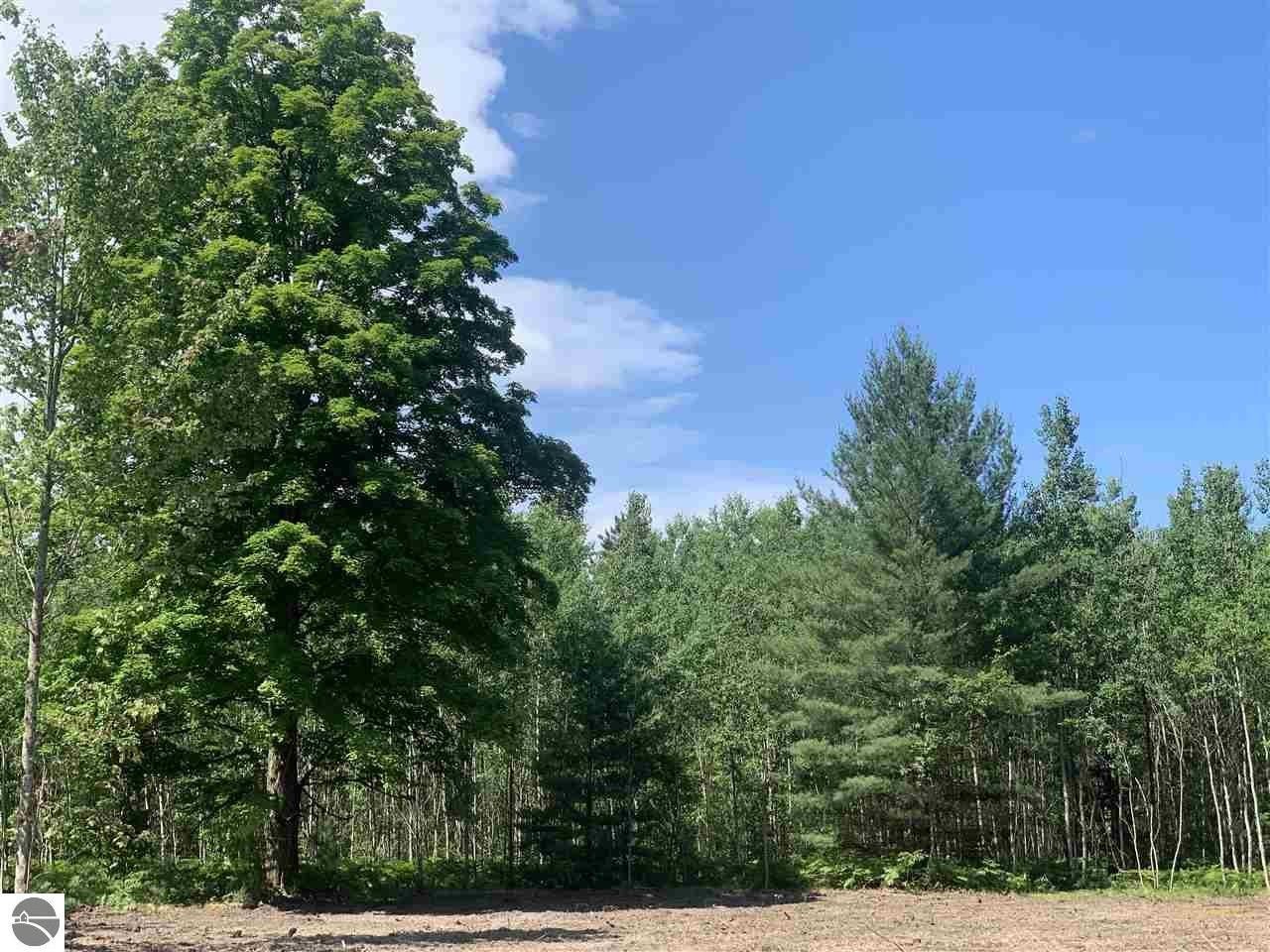 10 acres in Kalkaska County, Michigan