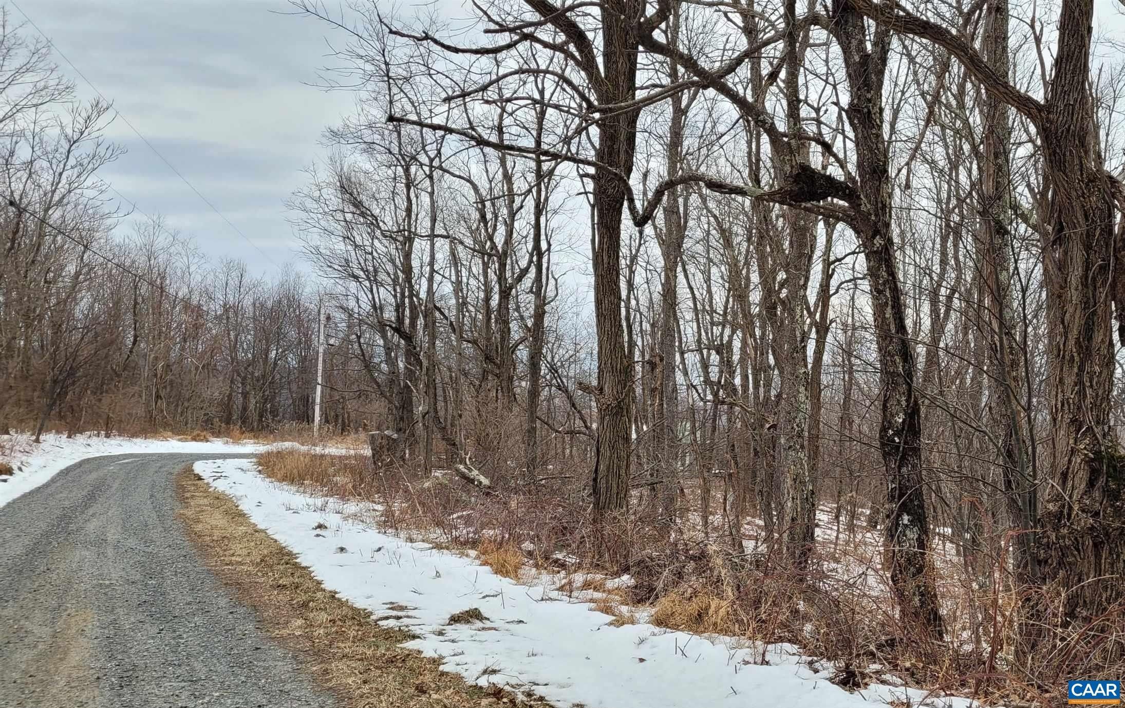 3.8 acres in Albemarle County, Virginia