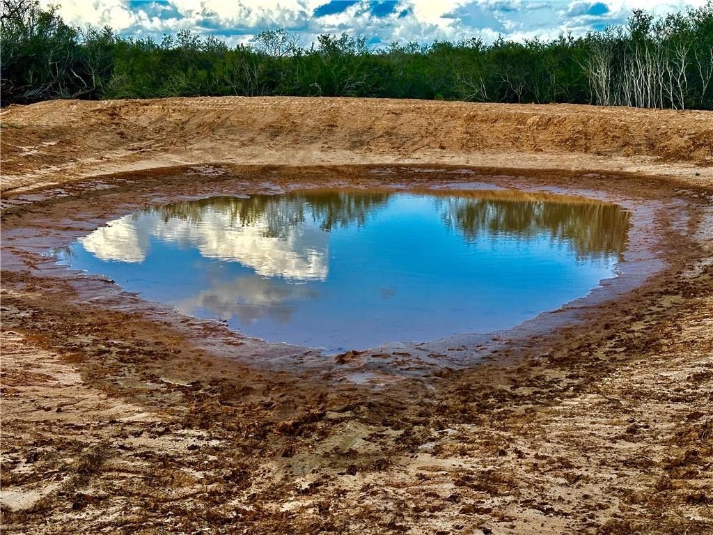 34.98 acres in Duval County, Texas