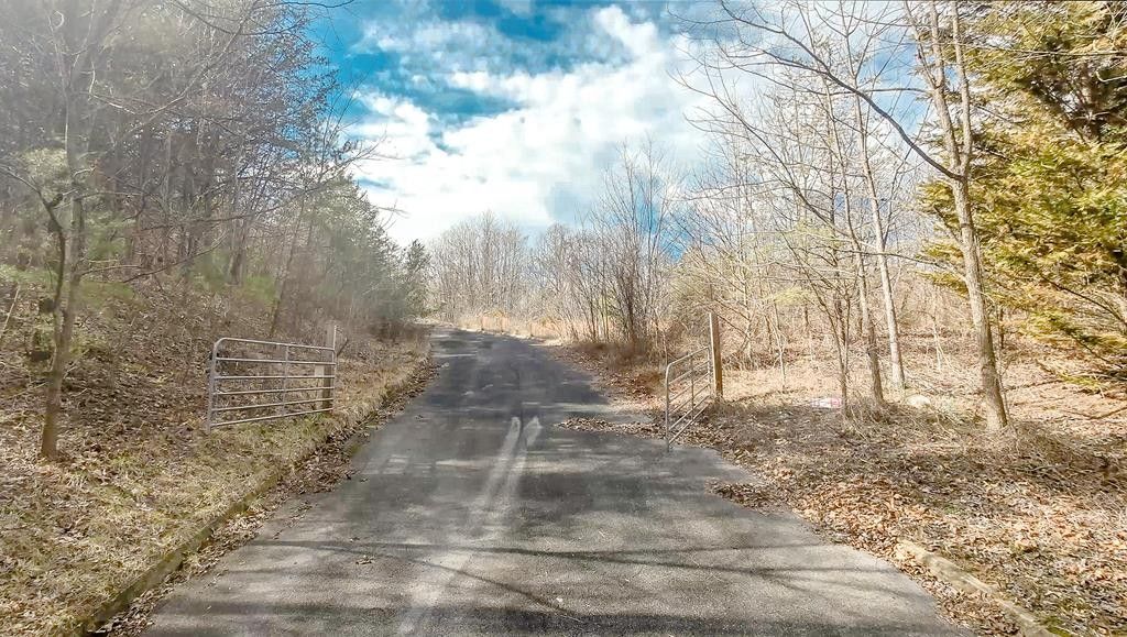 42.03 acres in Sevier County, Tennessee