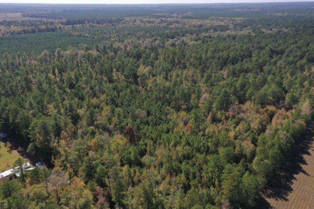 40 acres in Grant County, Arkansas