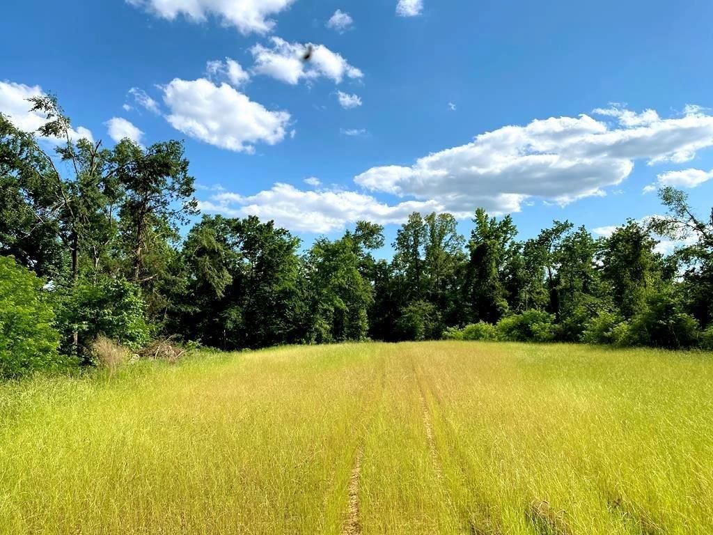 355 acres in Claiborne County, Mississippi