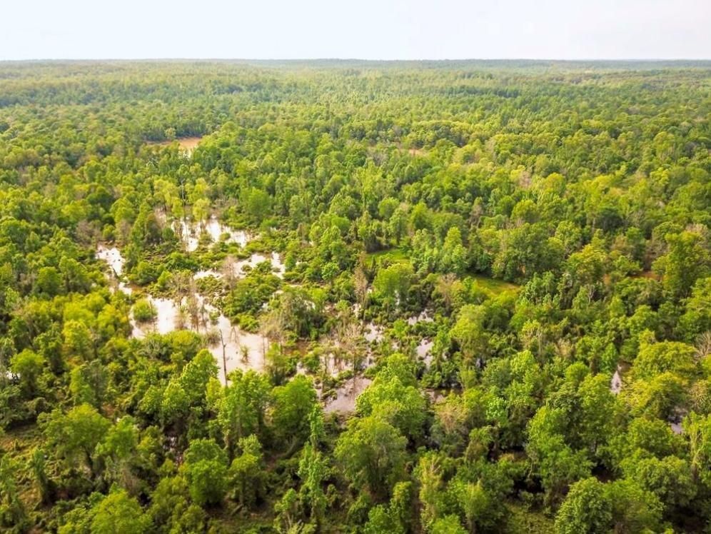 3,264 acres in Claiborne County, Mississippi